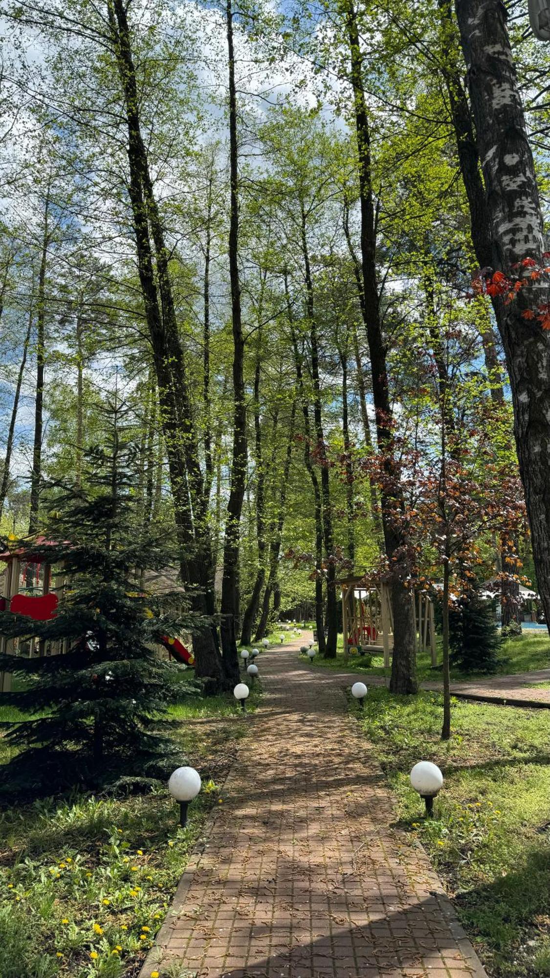 Tysha Forest Club Romankiv Εξωτερικό φωτογραφία